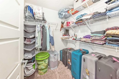 102 Saddlelake Terrace Ne, Calgary, AB - Indoor With Storage