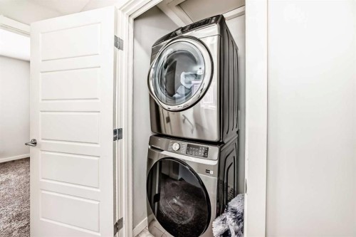 102 Saddlelake Terrace Ne, Calgary, AB - Indoor Photo Showing Laundry Room