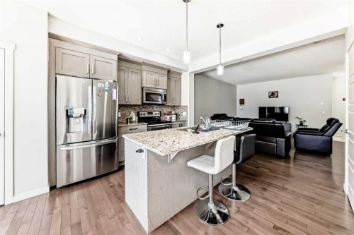 102 Saddlelake Terrace Ne, Calgary, AB - Indoor Photo Showing Kitchen With Stainless Steel Kitchen With Upgraded Kitchen