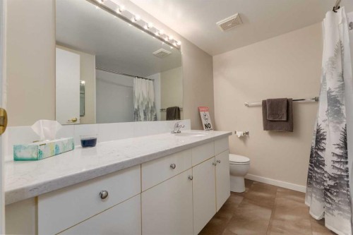 108-3500 Varsity Drive Nw, Calgary, AB - Indoor Photo Showing Bathroom