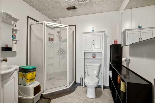 13 Park Road, Strathmore, AB - Indoor Photo Showing Bathroom