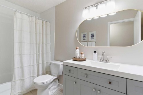 7 Jensen Crescent Ne, Airdrie, AB - Indoor Photo Showing Bathroom
