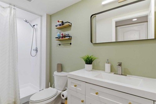 7 Jensen Crescent Ne, Airdrie, AB - Indoor Photo Showing Bathroom