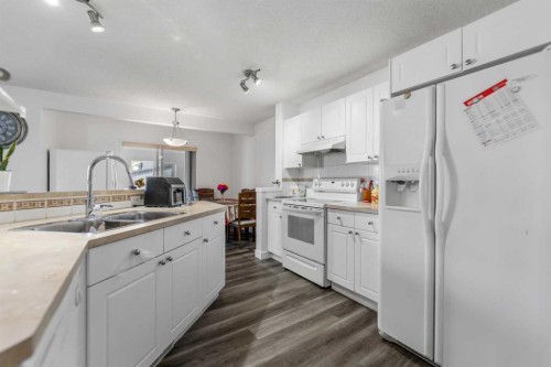 100 Saddlecrest Boulevard Ne, Calgary, AB - Indoor Photo Showing Kitchen With Double Sink