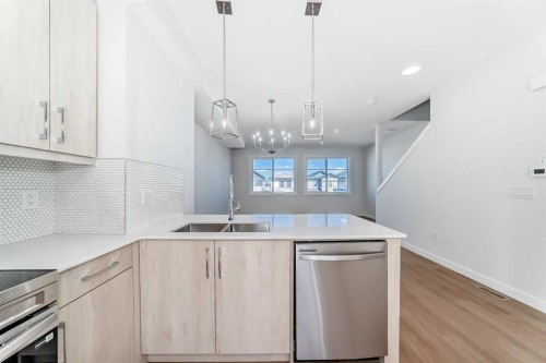21 Cornergate Place Ne, Calgary, AB - Indoor Photo Showing Kitchen With Double Sink With Upgraded Kitchen