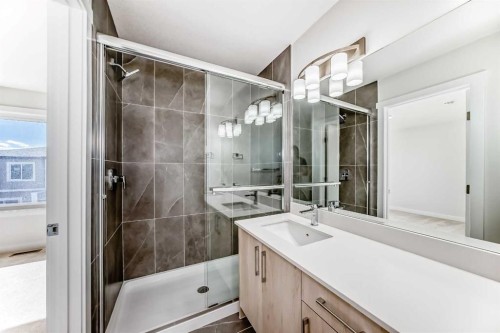 21 Cornergate Place Ne, Calgary, AB - Indoor Photo Showing Bathroom