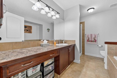 64 Cranridge Crescent Se, Calgary, AB - Indoor Photo Showing Bathroom