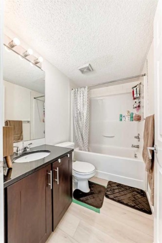 1312-755 Copperpond Boulevard Se, Calgary, AB - Indoor Photo Showing Bathroom