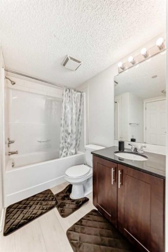 1312-755 Copperpond Boulevard Se, Calgary, AB - Indoor Photo Showing Bathroom