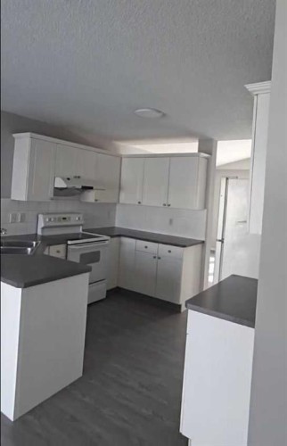 40 Covepark Place Ne, Calgary, AB - Indoor Photo Showing Kitchen With Double Sink