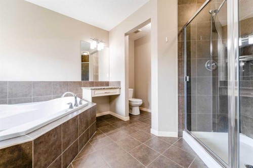 292 Auburn Bay Drive Se, Calgary, AB - Indoor Photo Showing Bathroom
