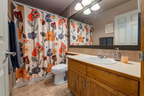 159 Macewan Drive Nw, Calgary, AB - Indoor Photo Showing Bathroom