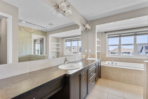 40 Masters Common Se, Calgary, AB - Indoor Photo Showing Bathroom