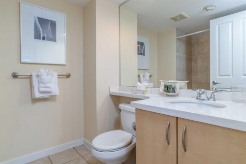 404-1108 6 Avenue Sw, Calgary, AB - Indoor Photo Showing Bathroom