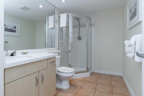 404-1108 6 Avenue Sw, Calgary, AB - Indoor Photo Showing Bathroom