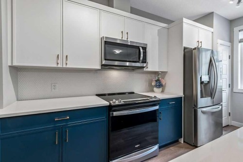 305 Cranbrook Walk Se, Calgary, AB - Indoor Photo Showing Kitchen With Upgraded Kitchen
