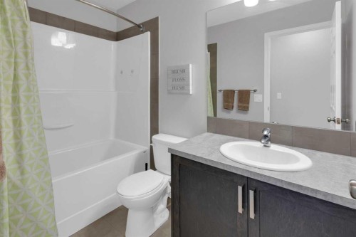 188 Sundown Road, Cochrane, AB - Indoor Photo Showing Bathroom