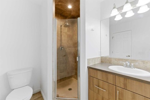 547 Windstone Common Sw, Airdrie, AB - Indoor Photo Showing Bathroom