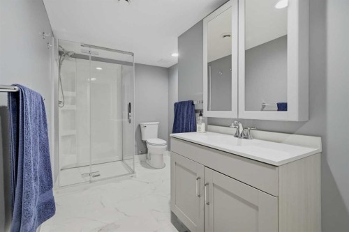 115 Everwoods Park Sw, Calgary, AB - Indoor Photo Showing Bathroom