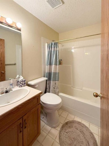 4117 Silverpark Estates Close, Olds, AB - Indoor Photo Showing Bathroom