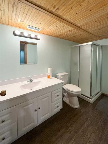 4117 Silverpark Estates Close, Olds, AB - Indoor Photo Showing Bathroom