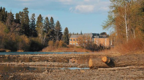 1302 Riverdale Avenue Sw, Calgary, AB 