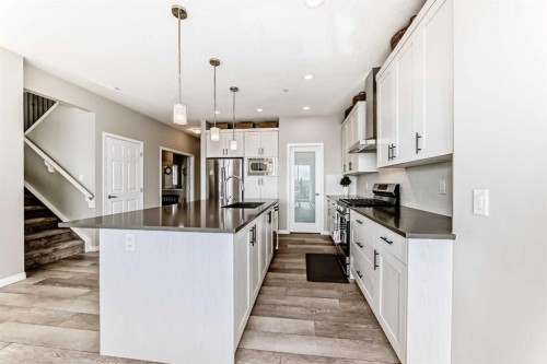 73 Lucas Heights Nw, Calgary, AB - Indoor Photo Showing Kitchen With Upgraded Kitchen