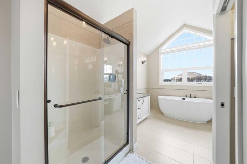 244 Cove Road, Chestermere, AB - Indoor Photo Showing Bathroom