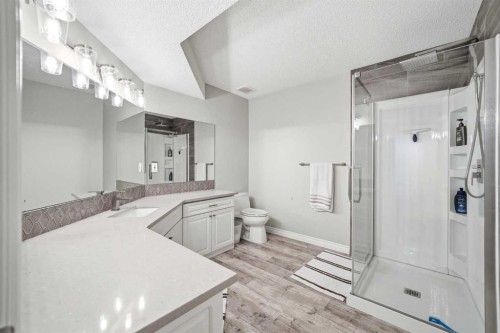 244 Cove Road, Chestermere, AB - Indoor Photo Showing Bathroom