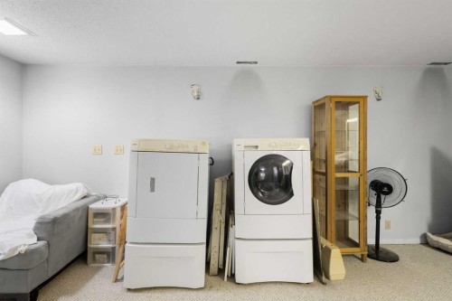 252 Templeview Way Ne, Calgary, AB - Indoor Photo Showing Laundry Room