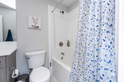1317-681 Savanna Boulevard North, Calgary, AB - Indoor Photo Showing Bathroom