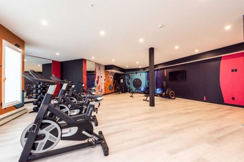 1317-681 Savanna Boulevard North, Calgary, AB - Indoor Photo Showing Gym Room