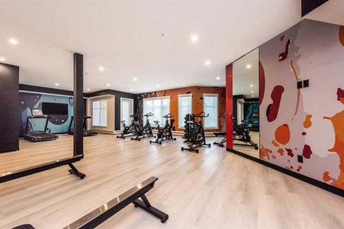 1317-681 Savanna Boulevard North, Calgary, AB - Indoor Photo Showing Gym Room