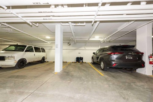 1317-681 Savanna Boulevard North, Calgary, AB - Indoor Photo Showing Garage