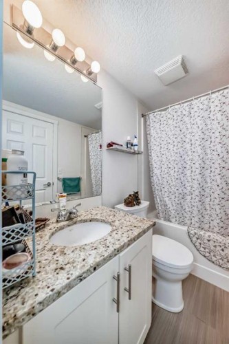 6315-755 Copperpond Boulevard Se, Calgary, AB - Indoor Photo Showing Bathroom