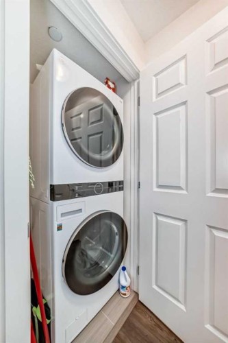 6315-755 Copperpond Boulevard Se, Calgary, AB - Indoor Photo Showing Laundry Room
