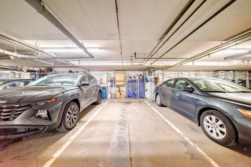 6315-755 Copperpond Boulevard Se, Calgary, AB - Indoor Photo Showing Garage