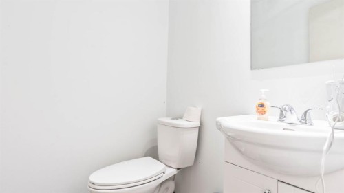379 Maitland Crescent Ne, Calgary, AB - Indoor Photo Showing Bathroom