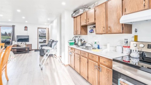 379 Maitland Crescent Ne, Calgary, AB - Indoor Photo Showing Kitchen With Double Sink