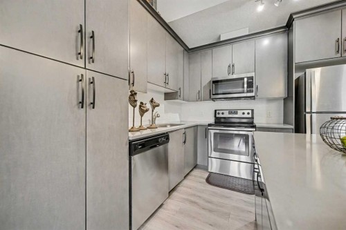117 Livingston Common Ne, Calgary, AB - Indoor Photo Showing Kitchen With Upgraded Kitchen