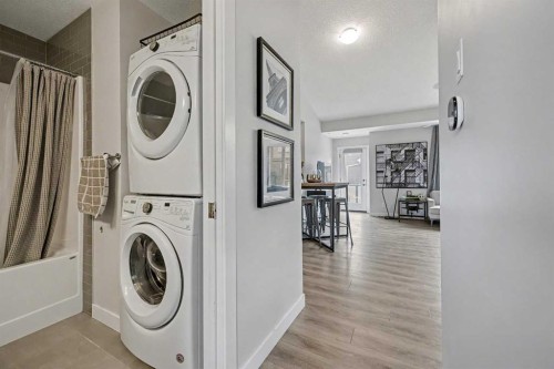 117 Livingston Common Ne, Calgary, AB - Indoor Photo Showing Laundry Room