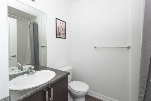 403-117 Copperpond Common Se, Calgary, AB - Indoor Photo Showing Bathroom