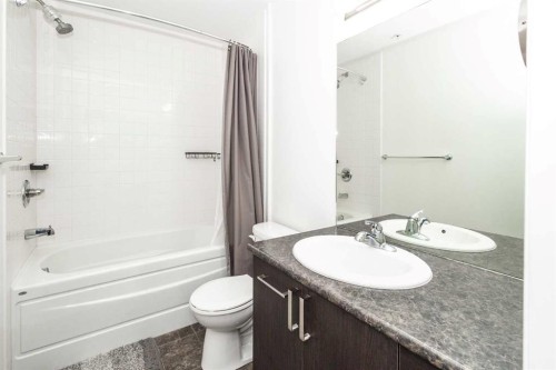 403-117 Copperpond Common Se, Calgary, AB - Indoor Photo Showing Bathroom