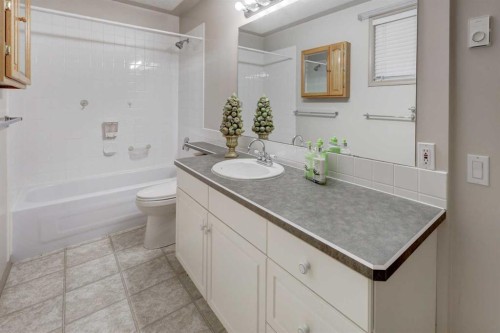 301 9 Street, Beiseker, AB - Indoor Photo Showing Bathroom