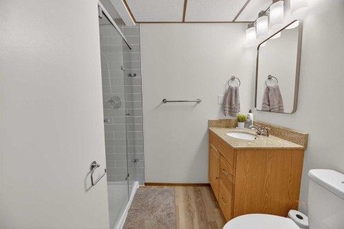 35 Queen Isabella Close Se, Calgary, AB - Indoor Photo Showing Bathroom