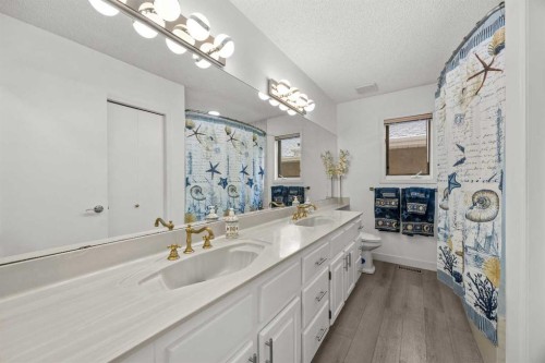 1360 Shawnee Road Sw, Calgary, AB - Indoor Photo Showing Bathroom