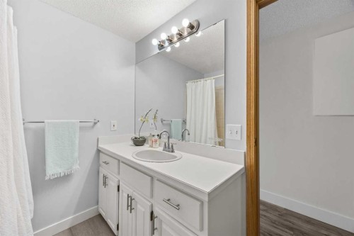 1360 Shawnee Road Sw, Calgary, AB - Indoor Photo Showing Bathroom