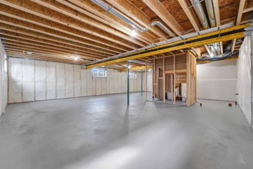 8 Tipping Avenue, Red Deer, AB - Indoor Photo Showing Basement