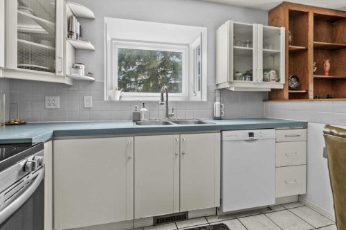 740 Canfield Place Sw, Calgary, AB - Indoor Photo Showing Kitchen With Double Sink