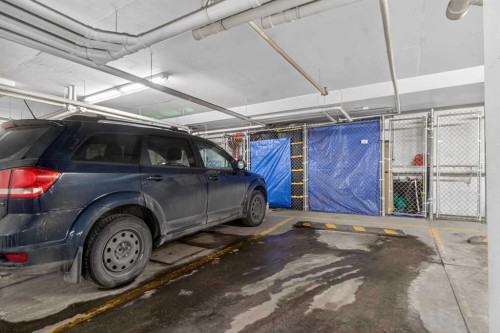 4403-302 Skyview Ranch Drive Ne, Calgary, AB - Indoor Photo Showing Garage